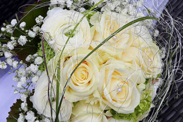 Bild 3 von Blumen Dietz